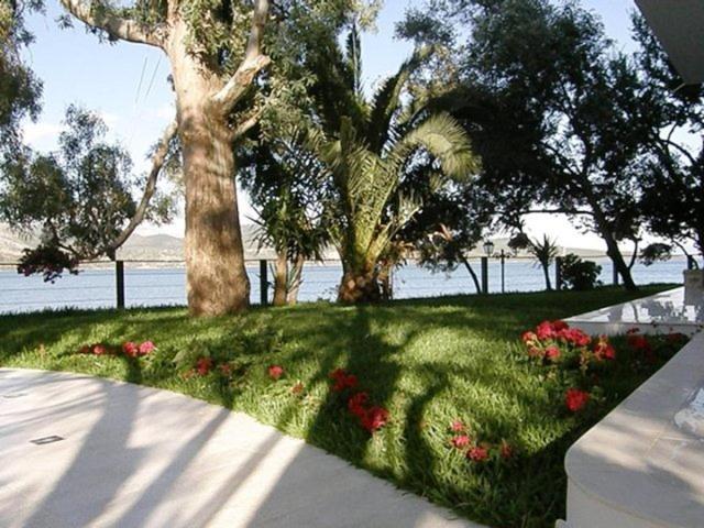 Tzeni Villa Lygia  Exteriör bild
