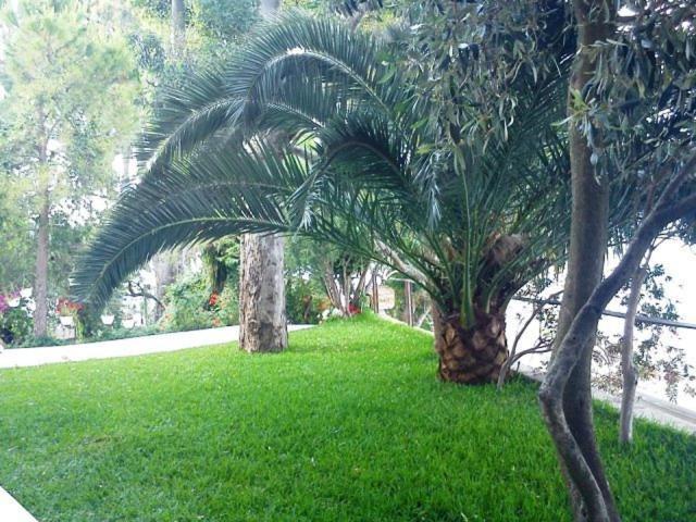 Tzeni Villa Lygia  Exteriör bild
